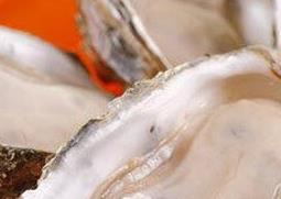 生蚝的功效与作用（生蚝的功效与作用及食用方法）