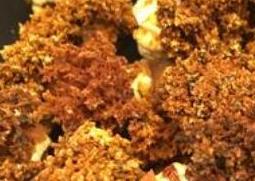 海参花的功效与作用 海参花的功效与作用及营养价值