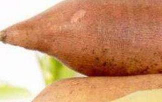 女生吃雪莲果的好处和坏处 女性吃雪莲果的好处和坏处