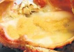 螃蟹壳的作用与功效 螃蟹壳有什么功效