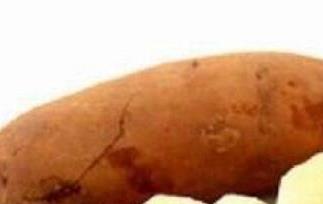 雪莲果怎么吃最好（天山雪莲果怎么吃最好）