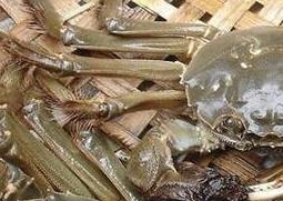 雌蟹和雄蟹的区别 雌蟹和雄蟹的区别是什么