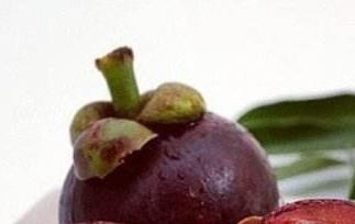 山竹的功效与作用 山竹的功效与作用图片