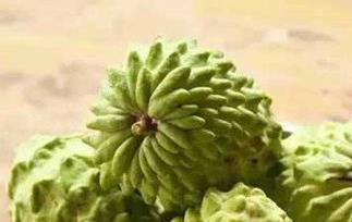 释迦果切开没熟怎么办 释迦果裂开了还没熟怎么办