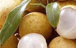 新鲜龙眼的功效与作用（新鲜龙眼的功效与作用禁忌）