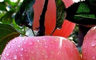 苹果为什么是酸的（刚刷完牙吃苹果为什么是酸的）