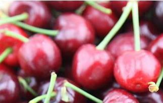 车厘子怎么保存 车厘子怎么保存可以不容易腐烂