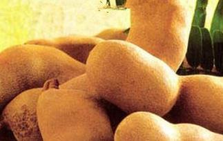 甜角是什么 甜角是什么水果的功效