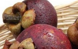 山竹的皮有什么益处（山竹的皮有什么益处和功效）