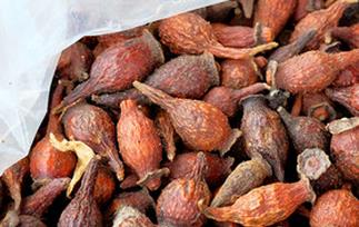 金樱子的药用价值与功效（金樱子的药用价值与功效是什么）