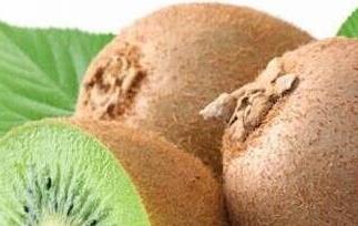 猕猴桃的神奇功效有哪些(猕猴桃的功效有什么)