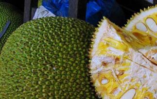 菠萝蜜的作用和功效（菠萝蜜的作用和功效多少钱一斤）