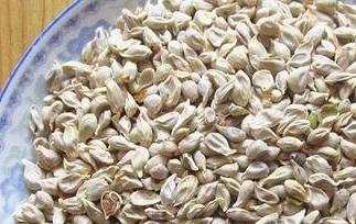 白酒泡橘子籽的作用和功效 橘子籽泡水的功效与作用