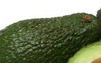 鳄梨是什么 鳄梨是什么东西