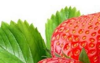 春天吃什么水果好 春天吃什么水果好 女性