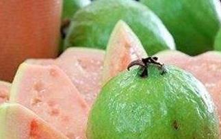 番石榴有什么营养价值（番石榴有什么营养价值呢）