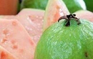 番石榴怎么吃（番石榴怎么吃才好吃）