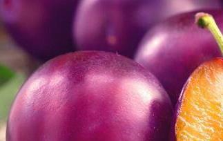 新鲜西梅的功效与作用 新鲜西梅的功效与作用糖尿病能吃吗