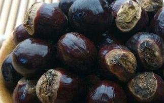 元肉核的功效与作用及禁忌（元肉核的功效与作用与用量）