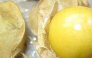 黄姑娘果皮泡水的功效(黄姑娘果皮泡水的功效与作用)