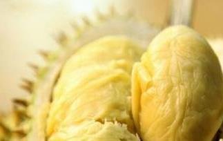 吃榴莲的好处与功效作用 榴莲有啥作用和功效