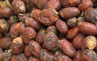 枝核的功效与作用 炒荔枝核的功效与作用
