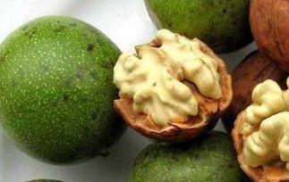 核桃的药用价值（核桃的药用价值与功效）