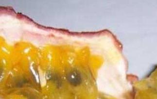 百香果的籽能吃吗 百香果的籽能吃吗有什么作用