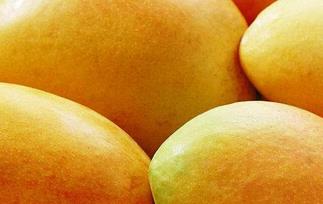 吃芒果后为什么不能晒太阳 芒果可以晒太阳吗