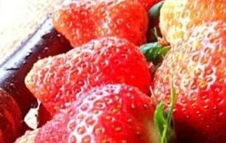 牛奶草莓是转基因吗 牛奶草莓的种植方法