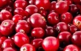 蔓越莓是什么（蔓越莓是什么颜色）