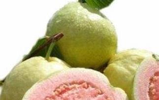 红心芭乐籽可以吃么（红心芭乐果籽可以吃吗）