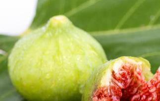 无花果对男人的功效（无花果对男人的功效是什么）