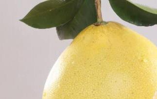 孕妇能吃柚子吗（孕妇能吃柚子吗孕晚期能吃吗）