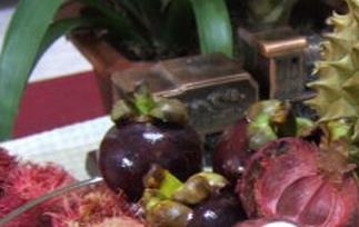 榴莲和山竹能一起吃吗 榴莲和山竹可以一起吃嘛