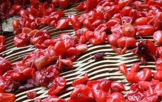 茱萸枣皮的功效与作用 茱萸枣皮的功效与作用及禁忌