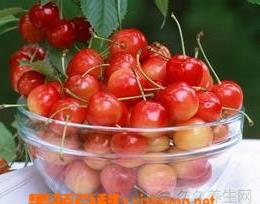 吃樱桃有什么好处和坏处 吃樱桃的好坏处