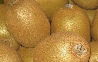 海沃德猕猴桃的功效与作用（海娃德猕猴桃介绍）