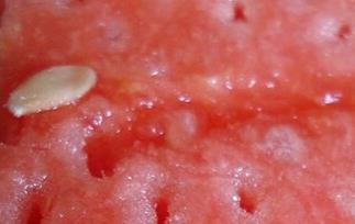 怎么辨别催熟西瓜 如何辨别催熟西瓜