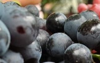 红提和黑提的区别有哪些（红提和黑提的区别有哪些呢）