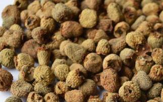 干的覆盆子能泡酒吗 覆盆子泡酒干的好还是新鲜的好