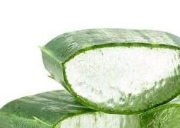 新鲜芦荟怎么做面膜(新鲜芦荟怎么做面膜怎么保存)