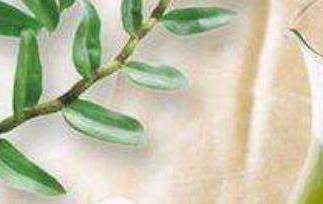 石斛酒怎么泡（石斛泡酒怎么泡）