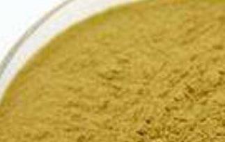 余甘子粉的功效与作用 余甘子作用和功效