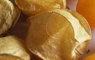 孕妇能吃姑娘果吗(孕妇能吃姑娘果吗中晚期)