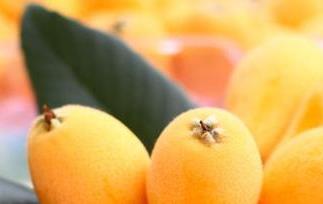 枇杷的营养价值及吃法 枇杷 营养