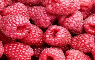 覆盆子的功效与作用（覆盆子的功效与作用的功能与主治）