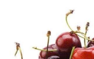 车厘子的功效与作用 车厘子的食用禁忌