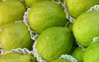 芭乐的营养价值与功效（芭乐的营养价值与功效和作用）