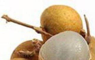 吃桂圆有什么好处和坏处（吃桂圆有什么好处和坏处和禁忌）